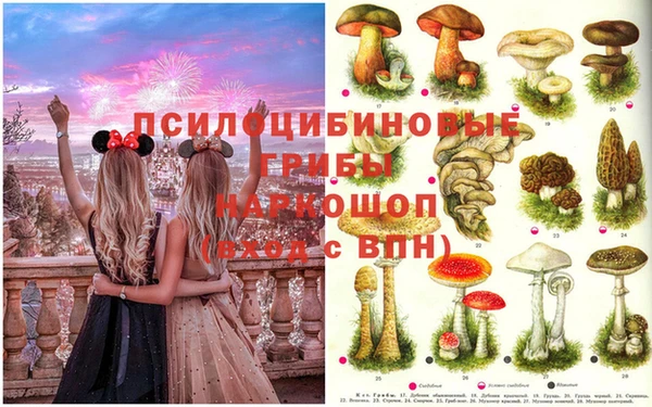твердый Киреевск