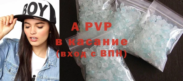 сатива Корсаков