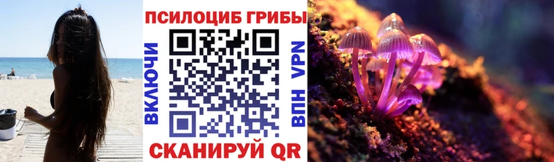 Псилоцибиновые грибы Cubensis  omg   Кораблино 